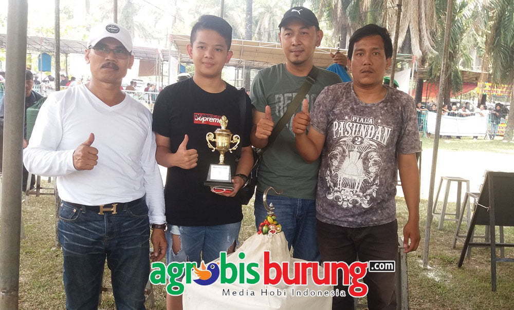 RADJA CUP1 4(ERAGON) copy