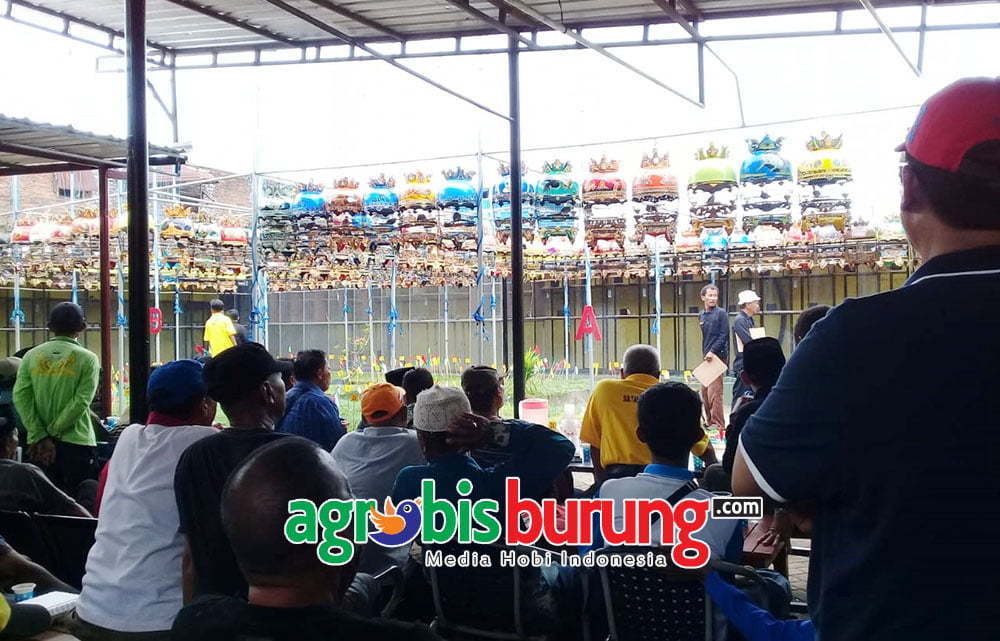 0d4a8470-de6e-46ba-aab2-13b71b6ed1cd