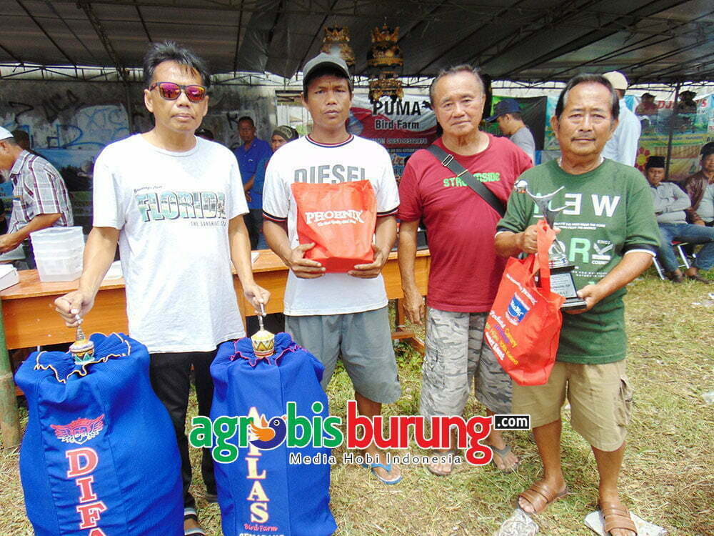 4-tasik (piyik yunior1 palem)