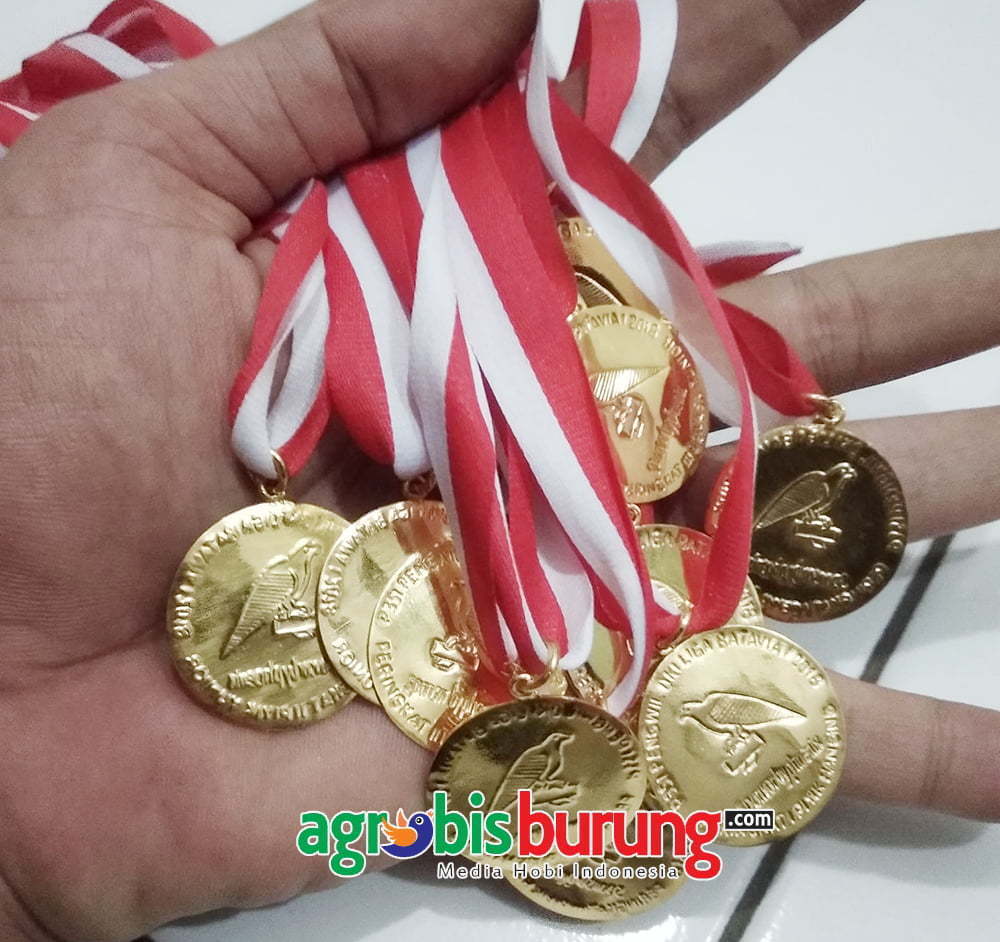 49513272_2025529454221369_6897904450187296768_o