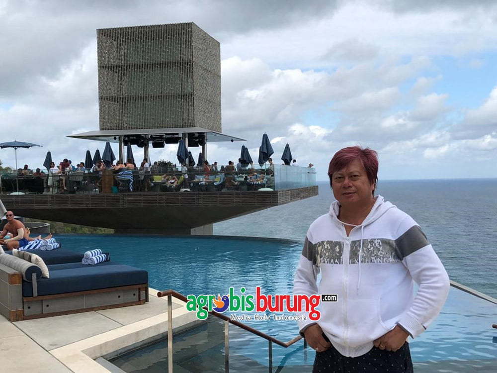 3557a02b-c3fd-4961-92d1-4ea4f562cdb7