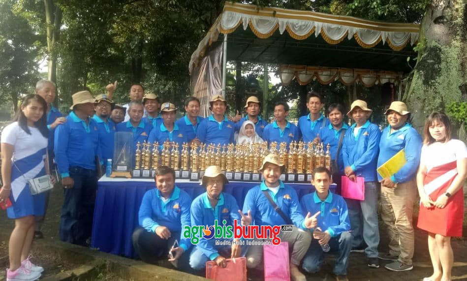 53111222_169610524024711_2220224687298838528_n