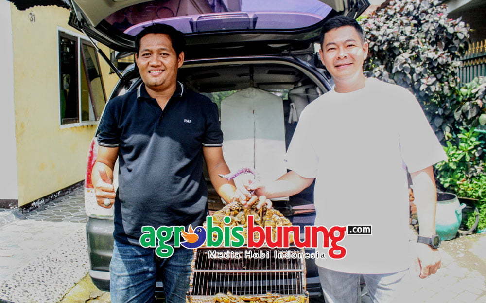 Danny tetap siap kawal ke Piala Jogja Istimewa