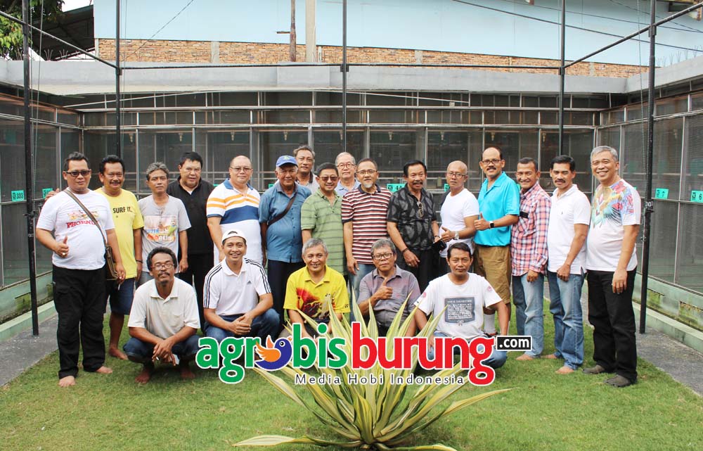 IMG_4323 copy