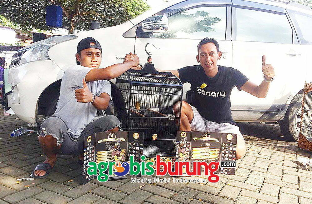 (kaos hitam) Lutfi Rasya Canary