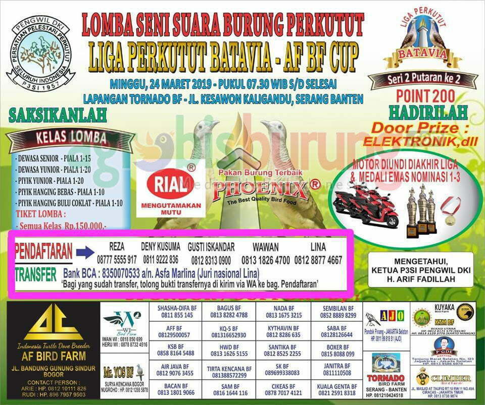 54255237_794869977542835_7165153932572884992_n