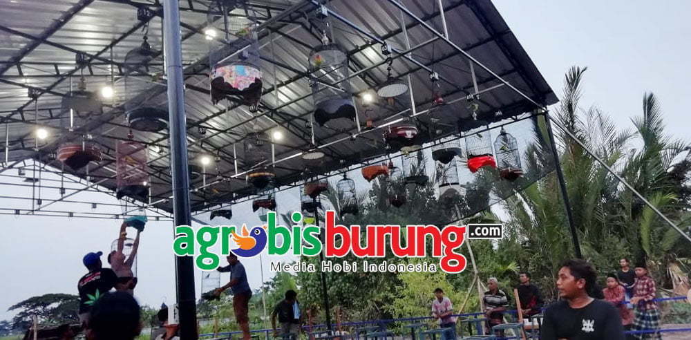 aa5d3a58-27f5-47a7-b47b-6a85231550c2