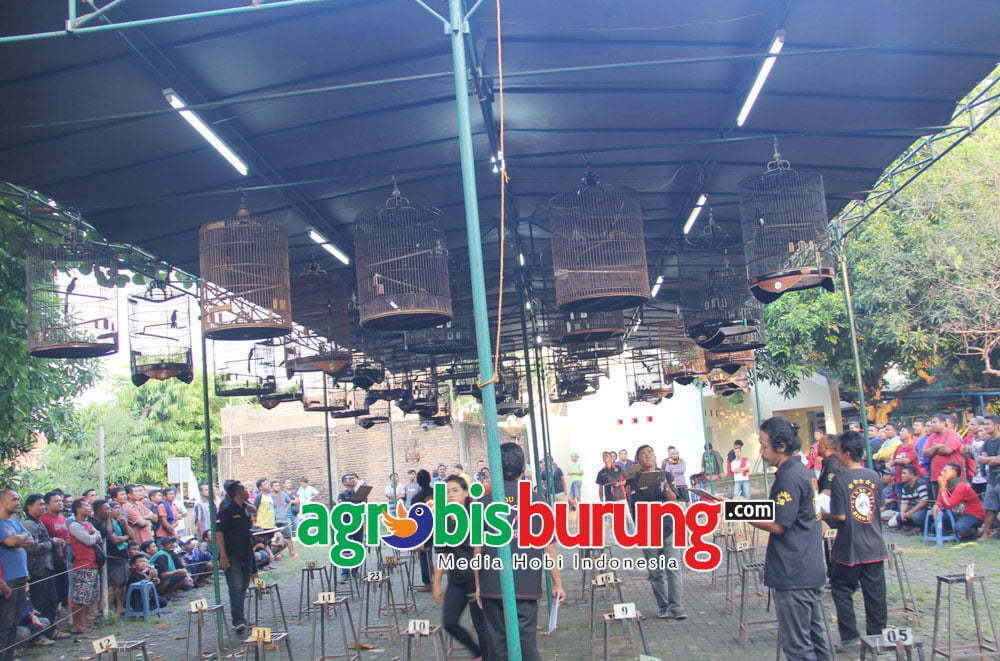 suasana lomba selalu ramai di penuhi peserta (1)