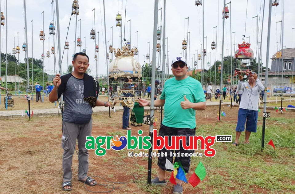 58543504_385569715382623_8308616269926498304_n