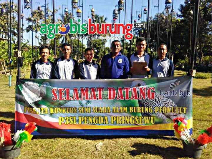 597e8a9a-7b54-4955-8556-45894df298e3