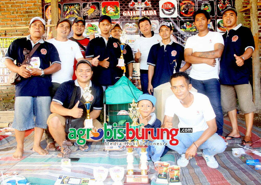 Juara Umum BC Griya Mapan Sentosa (GMS) (1)