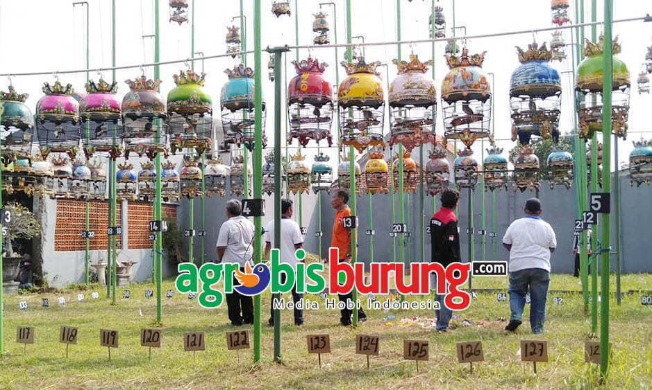 60184628_1173786339460911_865973519790374912_o