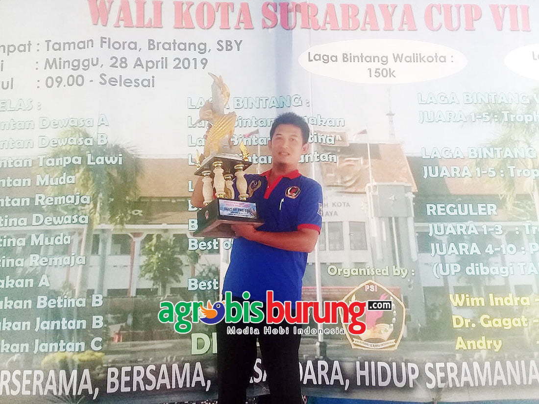 Andry Jember Inspector Perlombaan Serta LSI