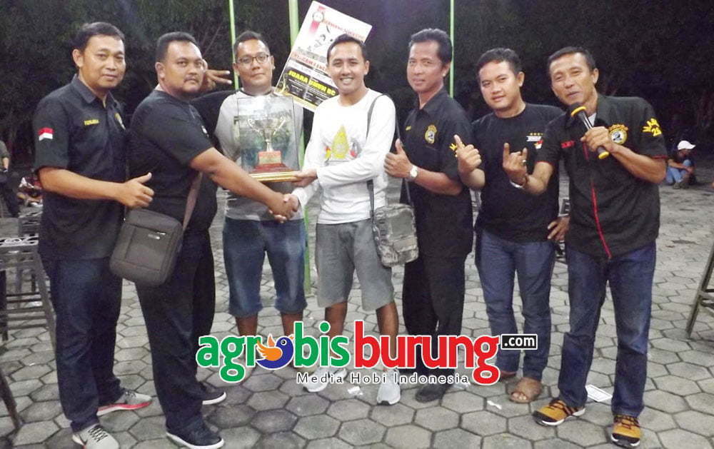 Mr Sadam Dt Lurik Bc Pedan Klaten juara Bc