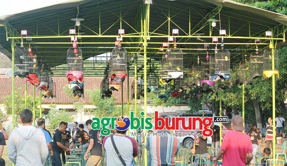 Suasana Latpres Banyuasin bc fear Lindu aji