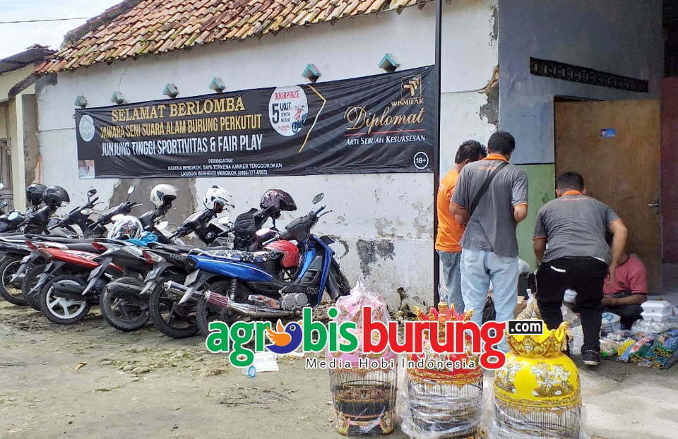 b6a322af-43b7-434f-b0c1-9ef19a429229