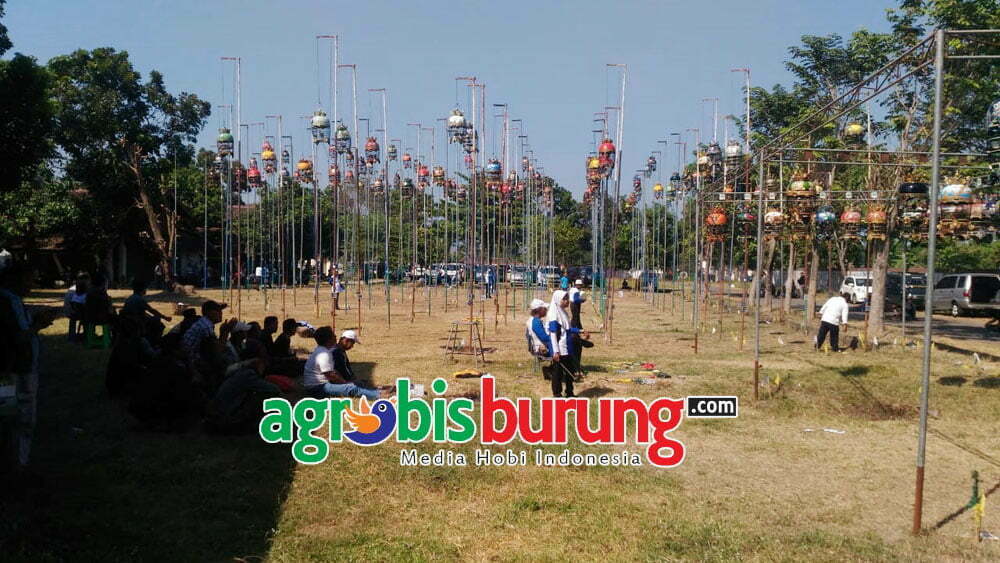 d4018c16-80d6-4de3-b8d2-8bcfe768df09