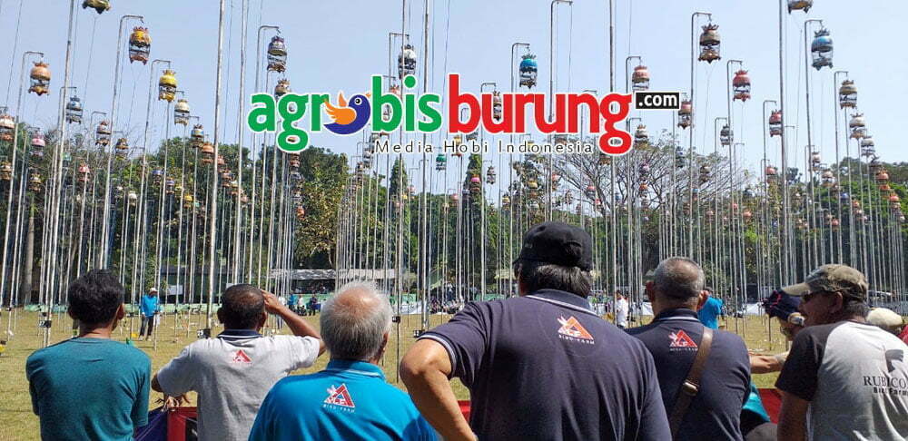 10bbaf7e-8c93-42b6-824a-a1b1d301f3e5