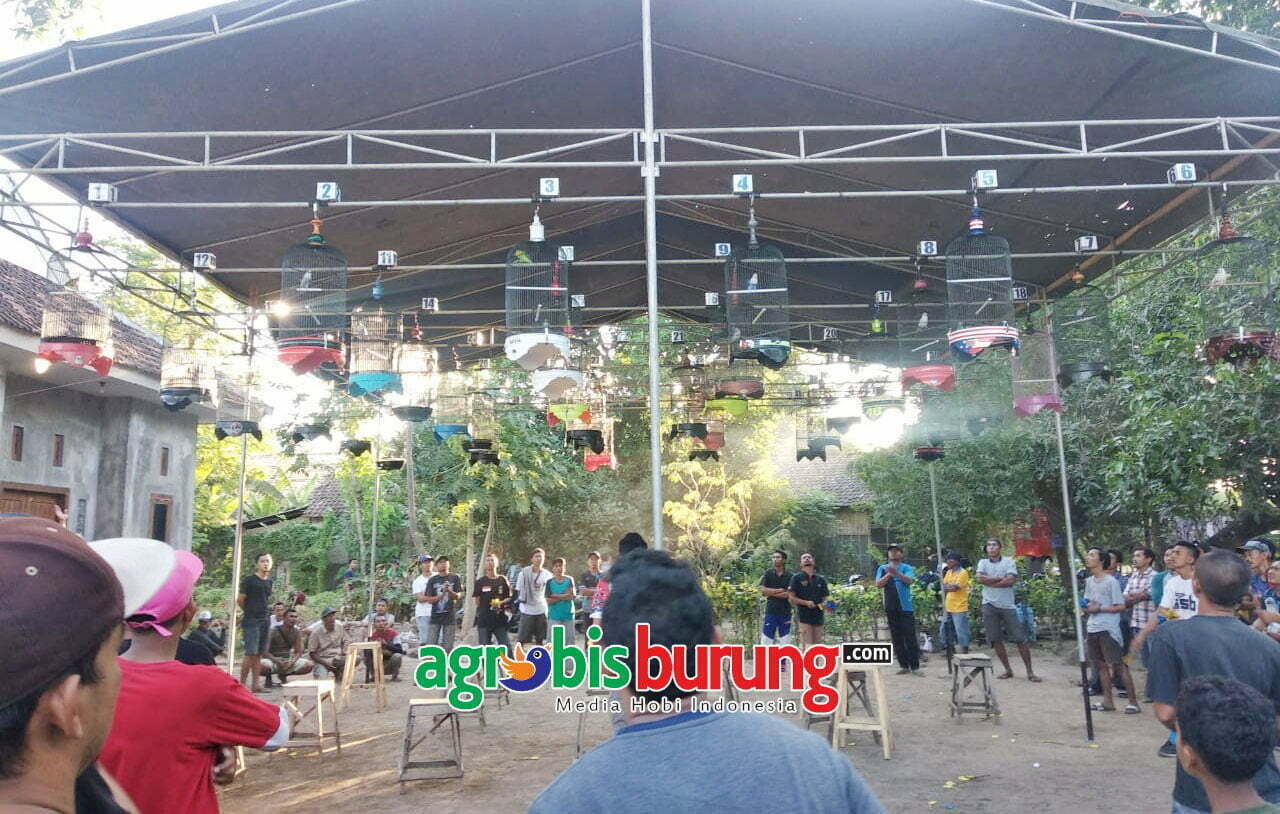 3c23bd32-e784-40fa-97b8-b6eb781901cb