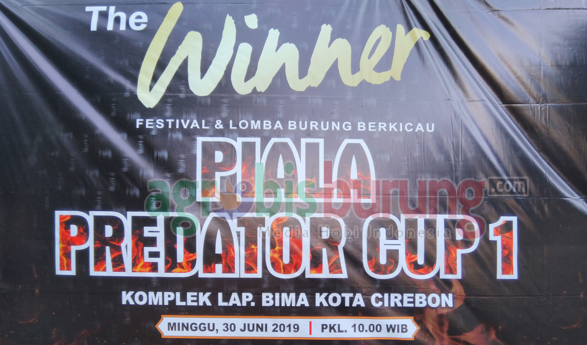 65635819_635943090223123_3481212276357201920_o