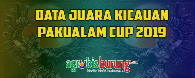 65755767_2375288165886839_6811941693370138624_n