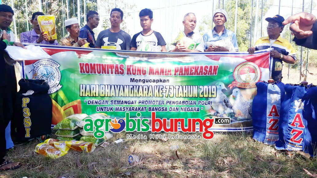 af9e5b92-617c-49fc-912f-5d452cf4340b