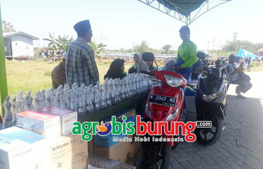 b0968537-37fe-451d-98eb-f05698ae6b2a