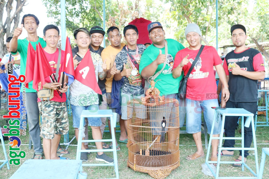 AB-GALEH BF rayakan kualitas raja tega