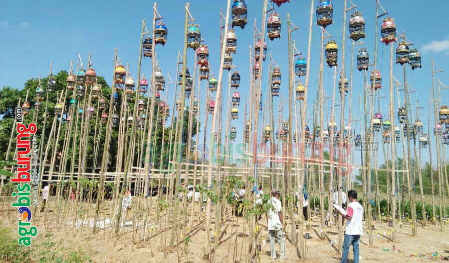 d41ad285-af88-4579-bdbd-55a4fc4f6e62