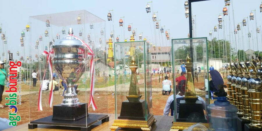 0df6ea09-6610-4476-8775-652728494e63