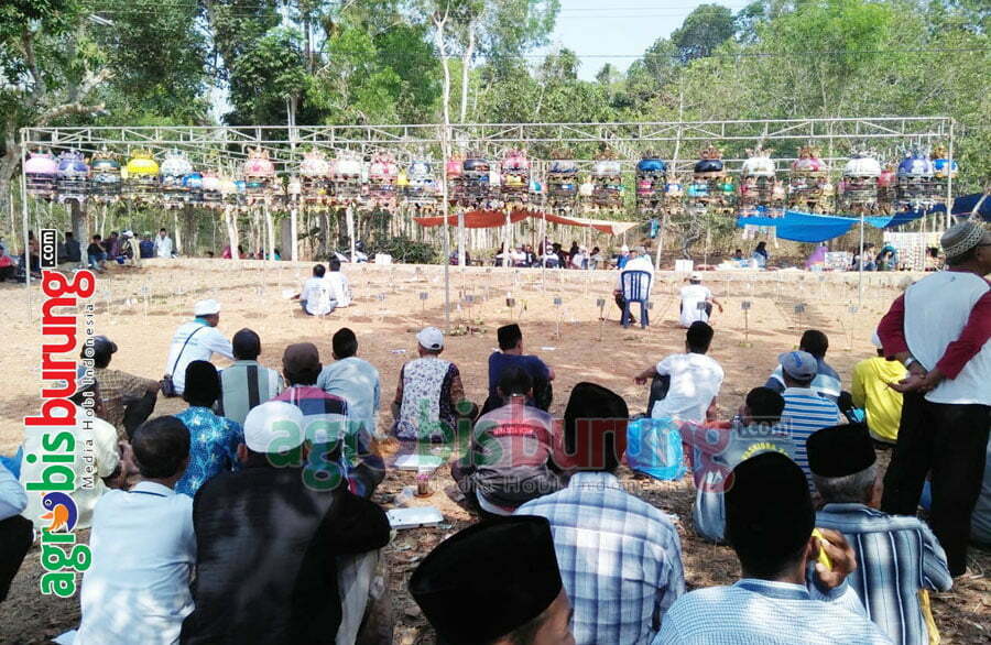 2541a49d-6f61-4677-9933-1e9a24c6f7dc