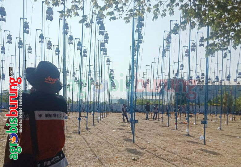 b800f47c-cce3-46e3-8751-526fc0e127ff (1)