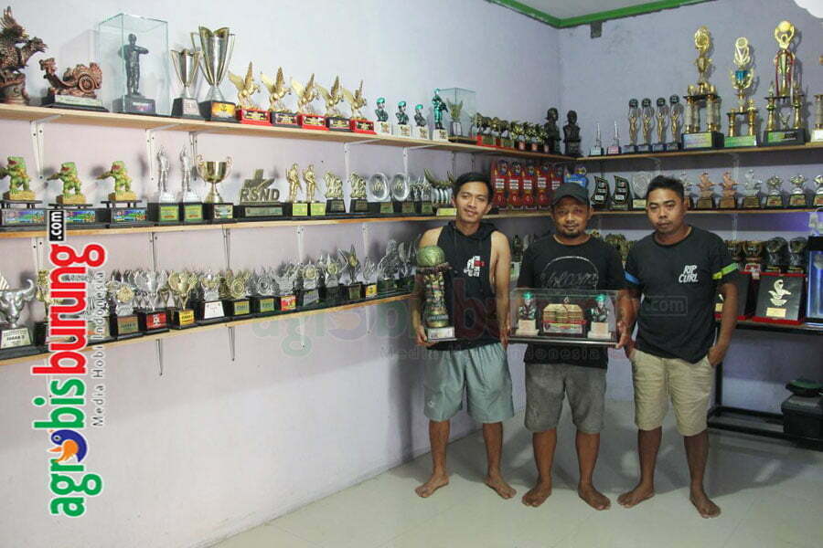 koleksi piala di berbagai event yang diikuti RHN