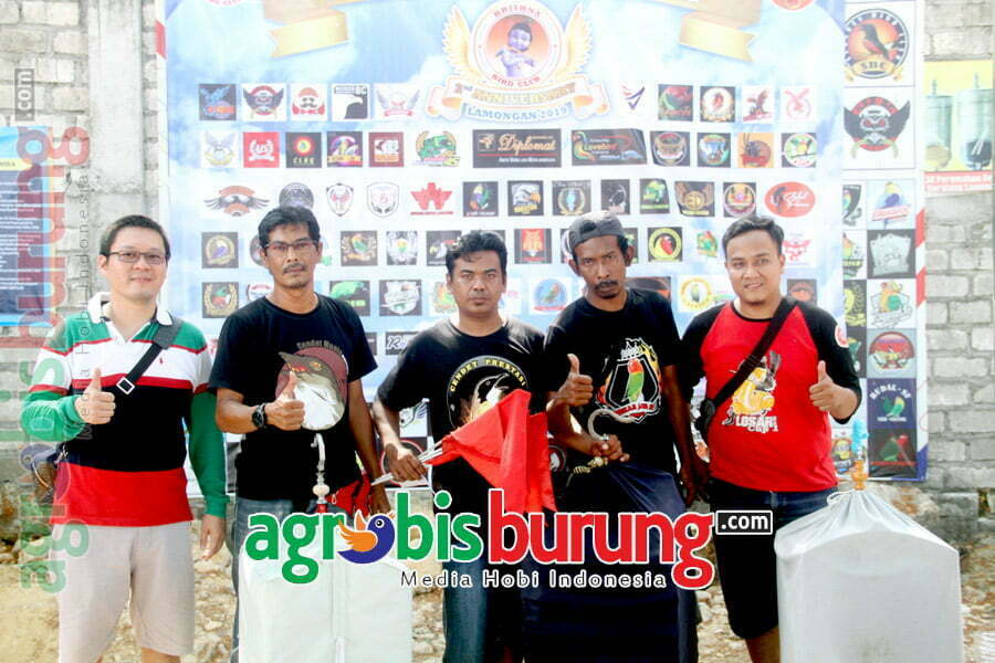 Cendet Rockstar (tengah) Hadapi Lawan Berat