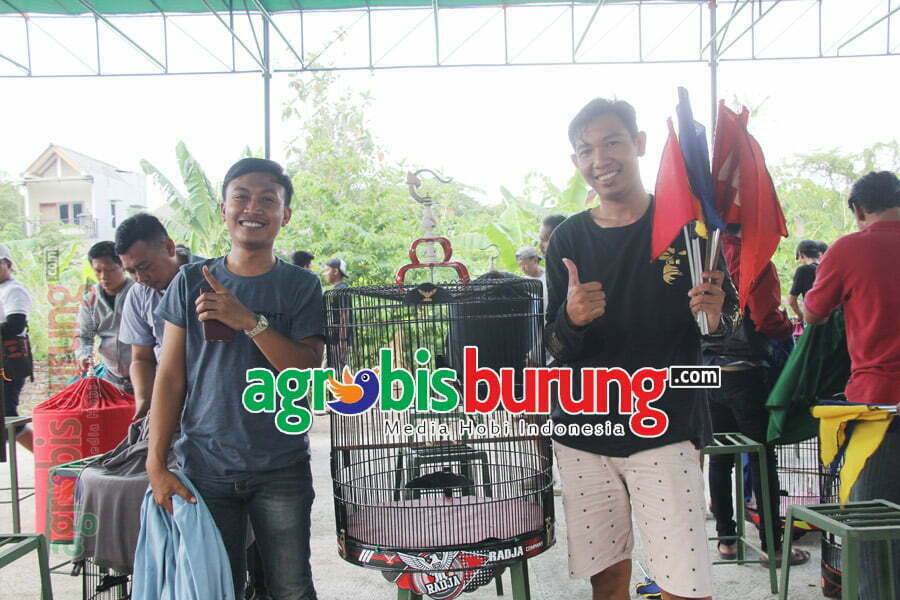 MB Mukidi bawa ekor seekor kambing di kelas kencana