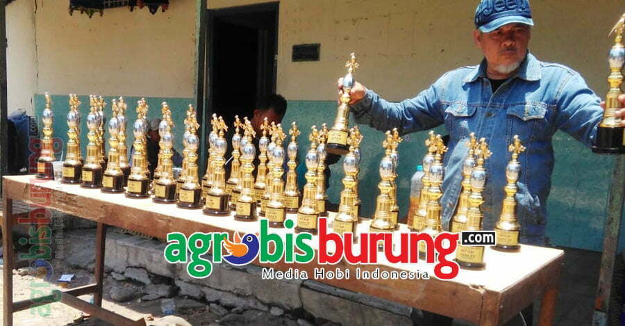 b511f417-157c-412c-b646-54bcaf2f15e4