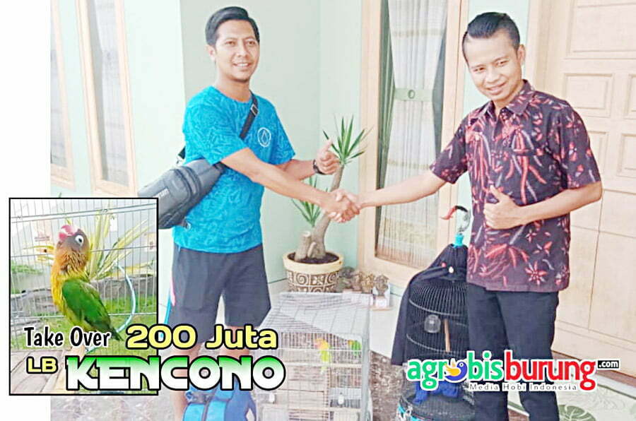 4cd6370c-7369-4ba1-9040-71ec4243a91f