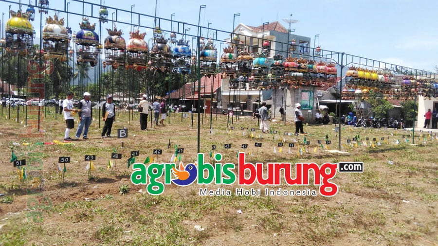 9fbc1de4-fd13-4019-836b-d250b0ee8684