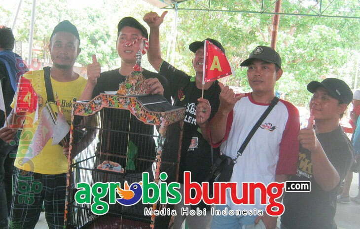 CH BALENO, KN ROLLING, MB DAHLIA RAIH DOUBLE WINNER, DOMBA INDAH SF JUARA UMUM DI BNR BERBAGI ANAK YATIM 1(BALENO)