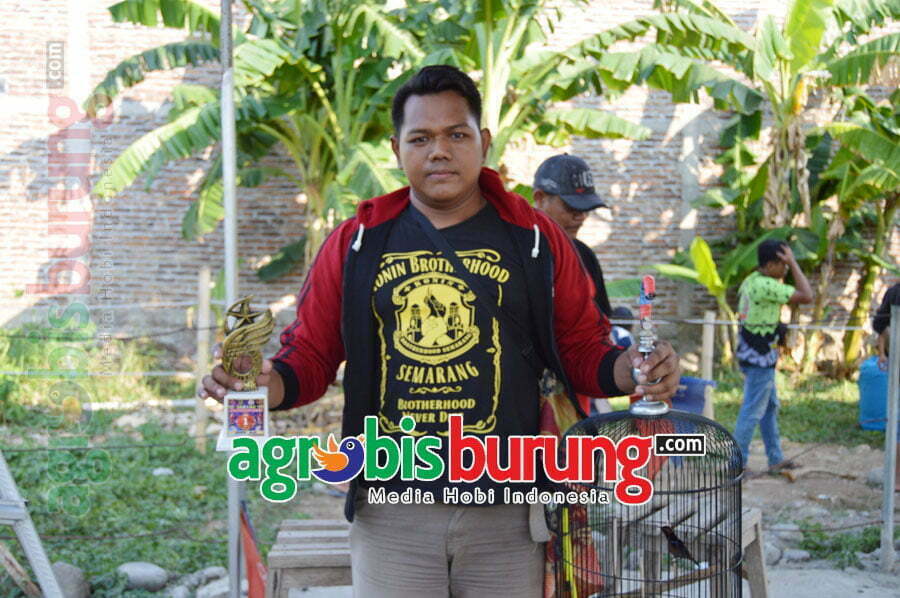 GOMBALMUKIO JU 1 DI TIKET UTAMA