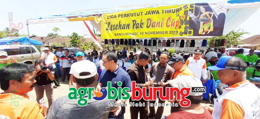 b2932b92-ec59-4b76-aeaa-205302057eda