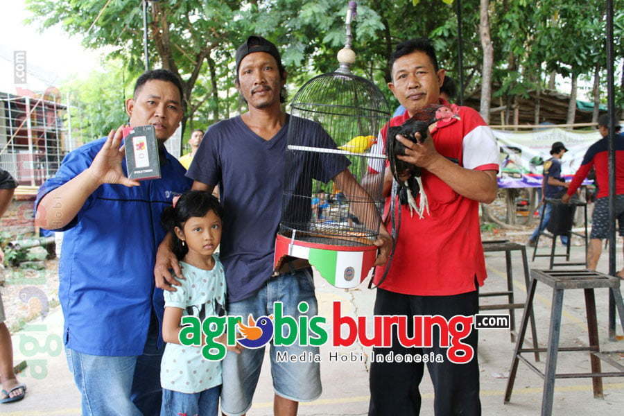 bonus hadiah ayam & hp baru