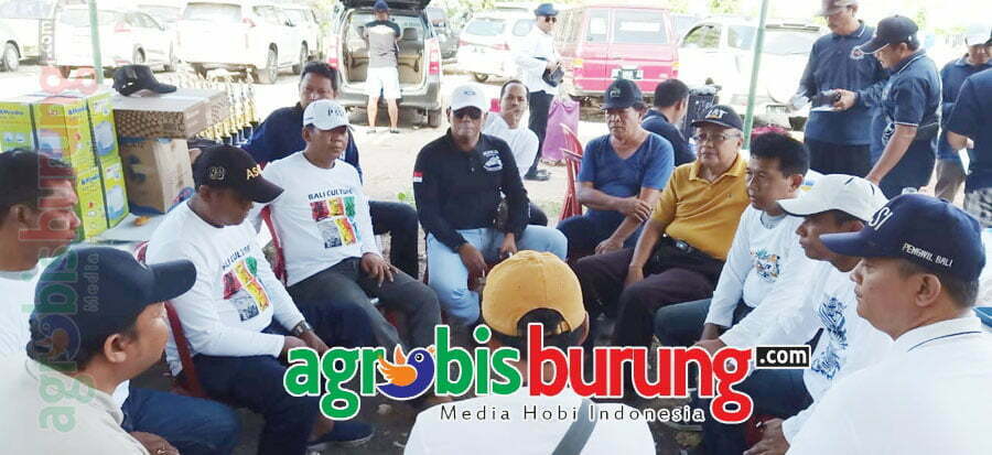 c018d6ae-495a-4a77-92e8-53705cc8a976