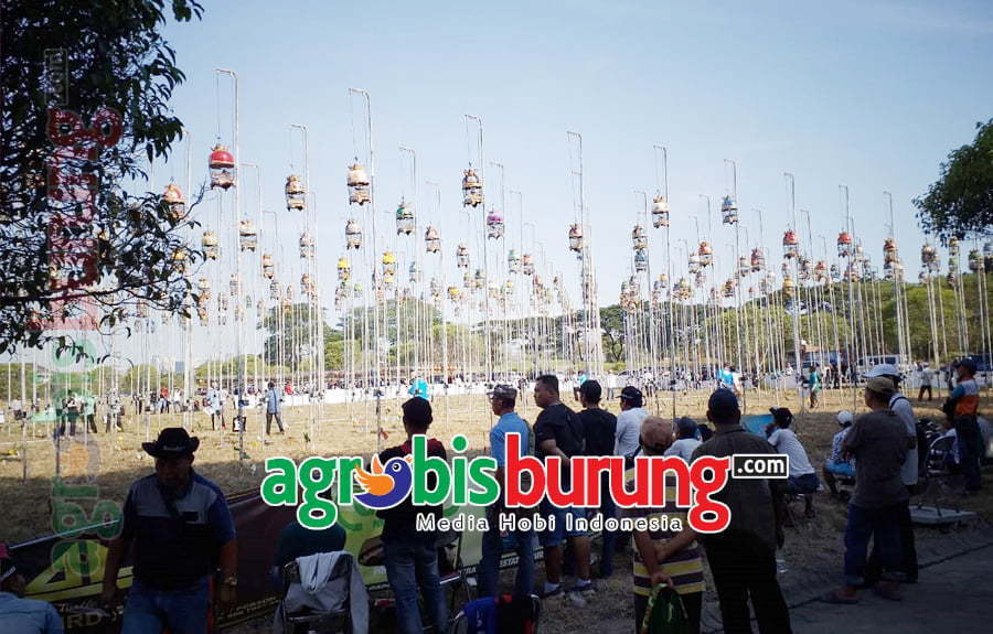 f071fa18-97cb-410d-9b60-d05b2ec2556b