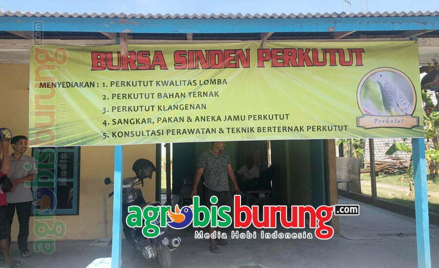 fb87afe7-b4bb-4595-8d55-249e1df8481a (1)