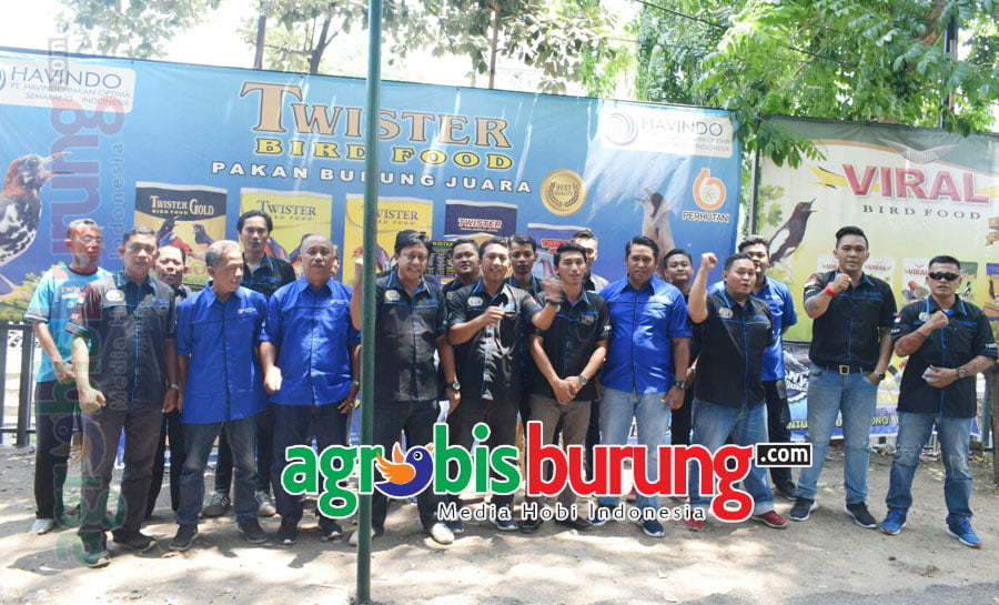 tim juri Best Independent