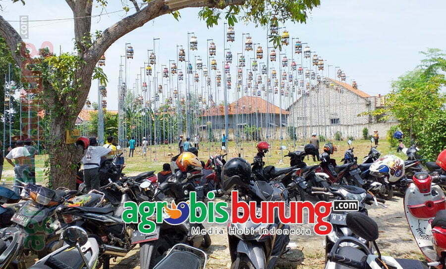 9386dfbe-c161-4b3d-88b4-2c6d7a57ef8c