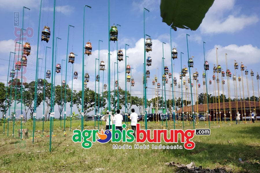 58398e6f-0166-496d-85bc-347a2c7b9fe5