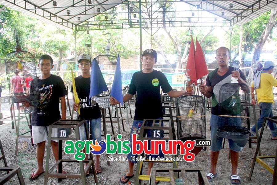 Cepot Racun Pelangi Juara Baby M2 A