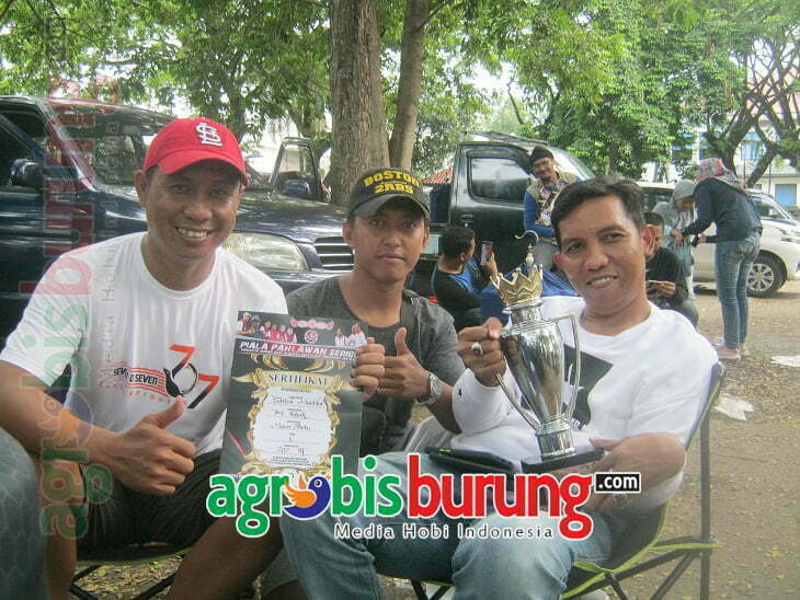 MB DATUK MUSTIKA (PROFIL KICAUAN)